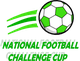 巴基挑杯logo
