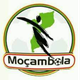 莫桑杯logo