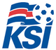 冰岛季前杯logo