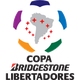 女解放者杯logo
