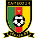 喀麦隆杯logo