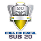 巴U20杯logo