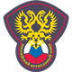 俄女杯logo