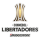 解放者杯logo