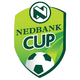 南联杯logo