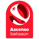 智利乙logo