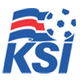 冰岛丁logo