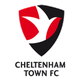 切尔滕汉姆logo